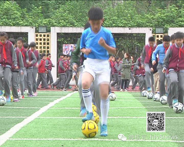 替代引进 替代引进